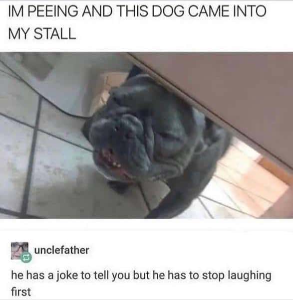 #20 Just Told A Dad Joke