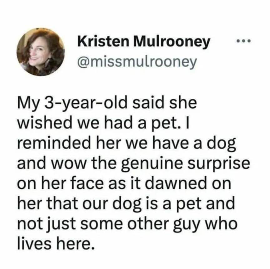 #21 When dog logic makes perfect sense to exactly one dog