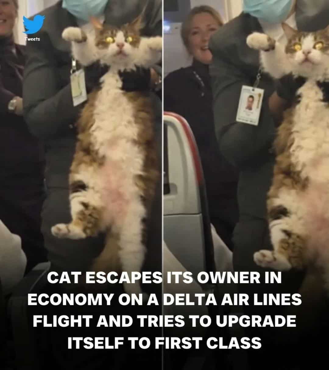 #22 He Deserves First Class