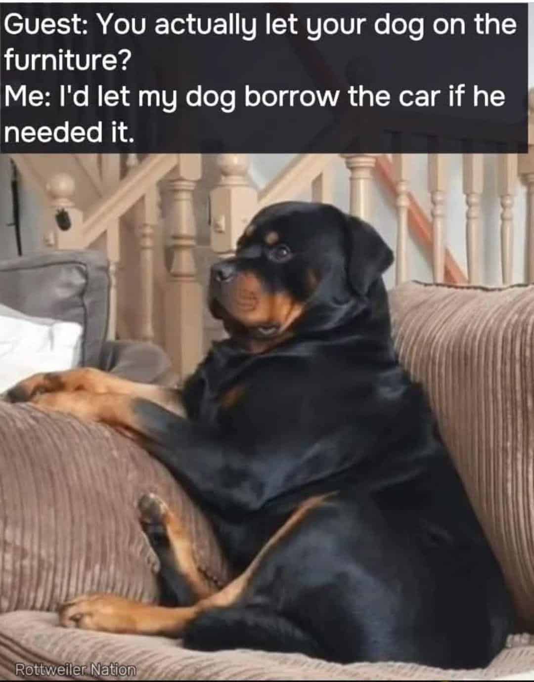 #10 He Is Part Of The Family