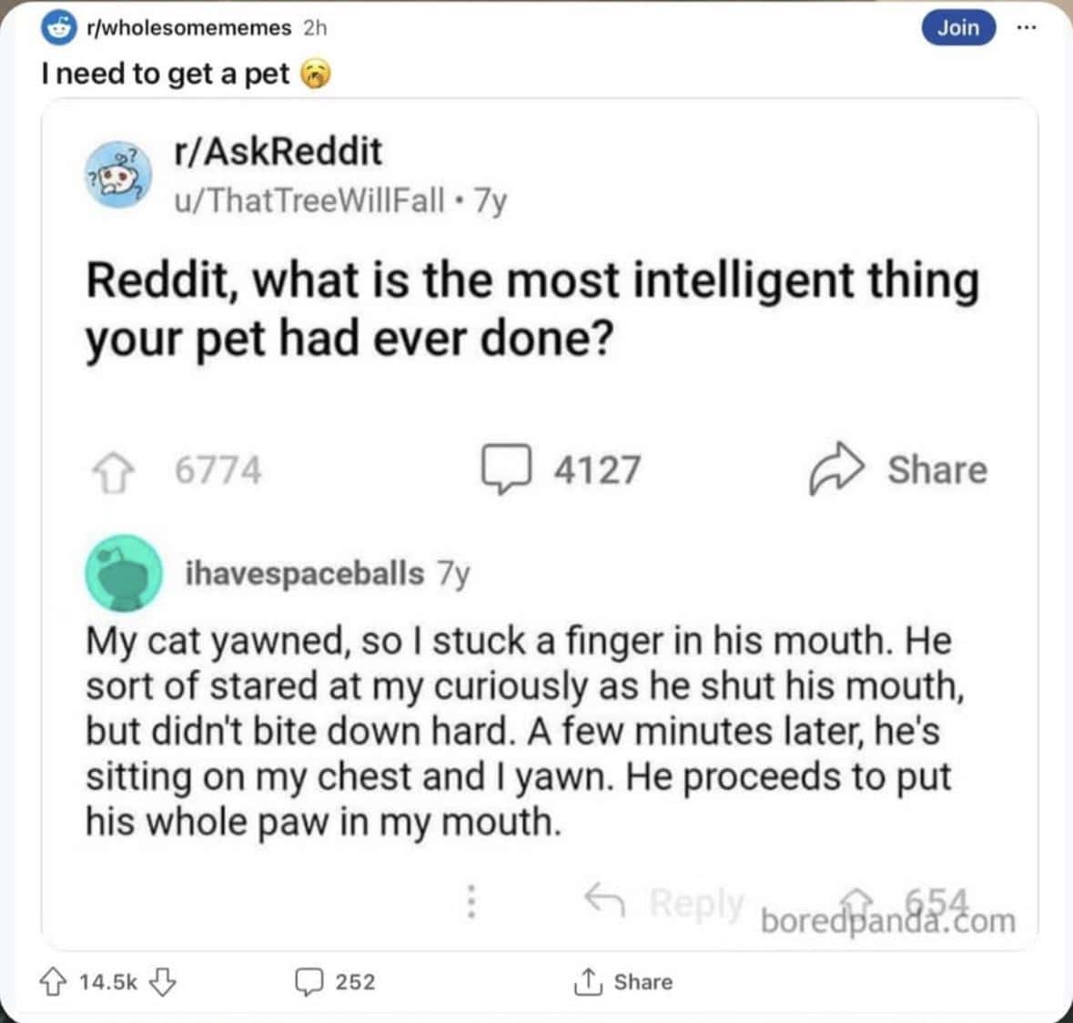 #12 The Most Intelligent Thing