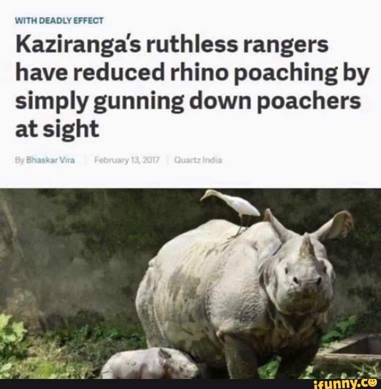 #16 Should Be Adopted Worldwide