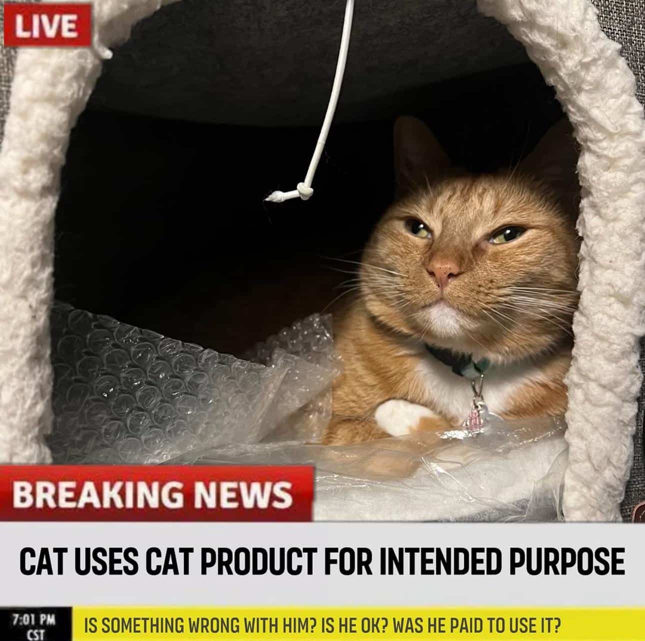#18 Unbelievable News