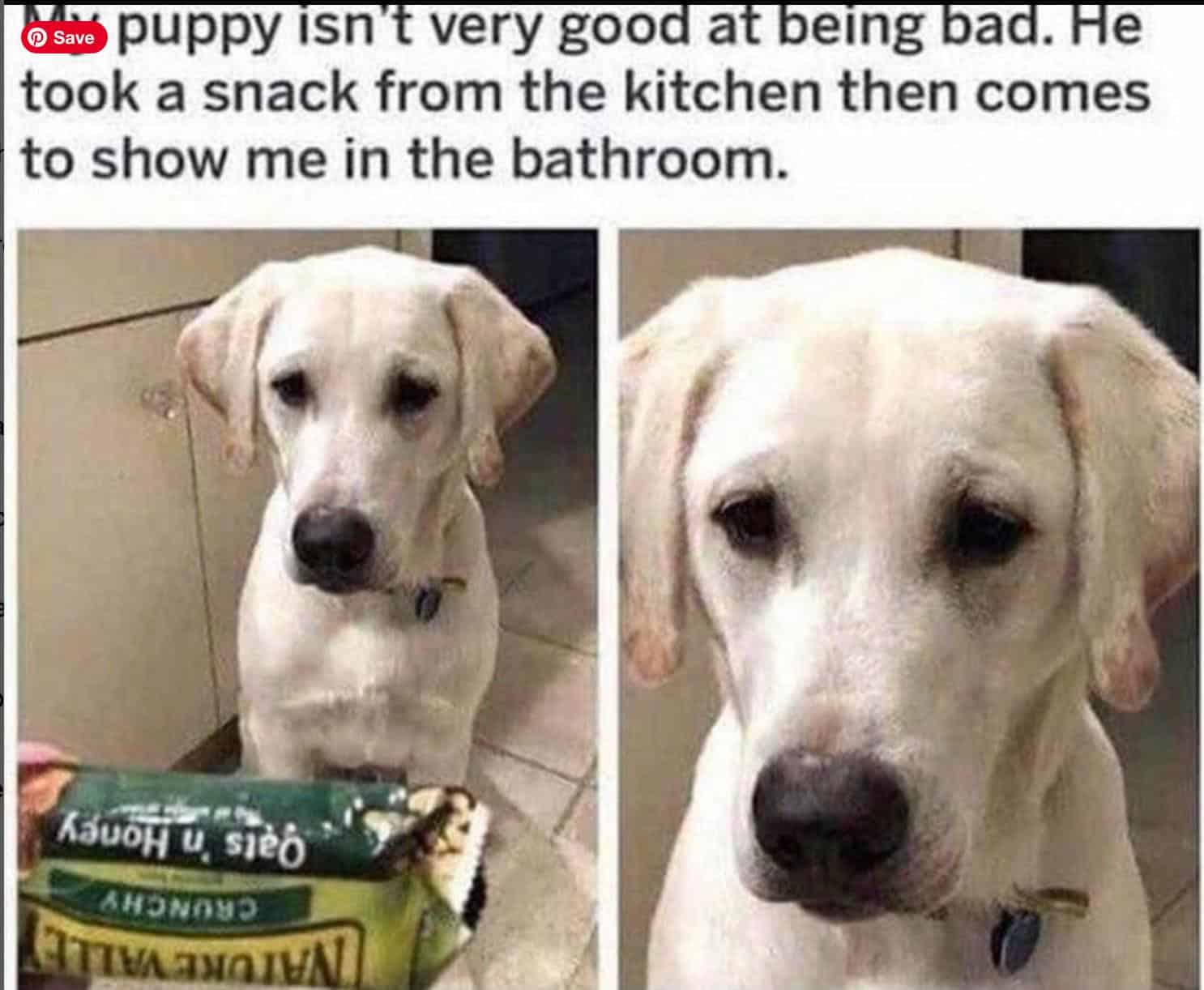 #7 He's A Honest Boy