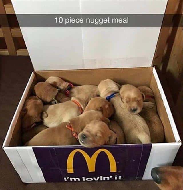 #14 Nom Nom 😋😋