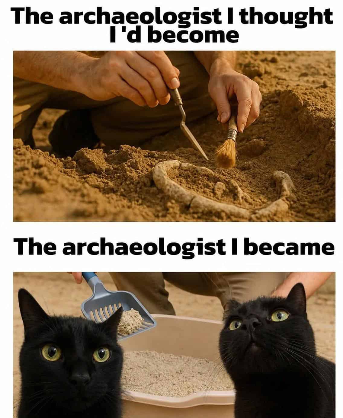 #5 Archeologist Of A Different Sort
