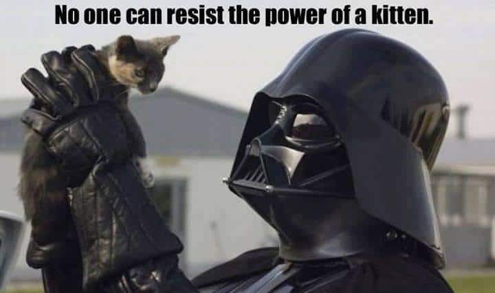 #7 Happy Star Wars Day (To Those That Observe It)