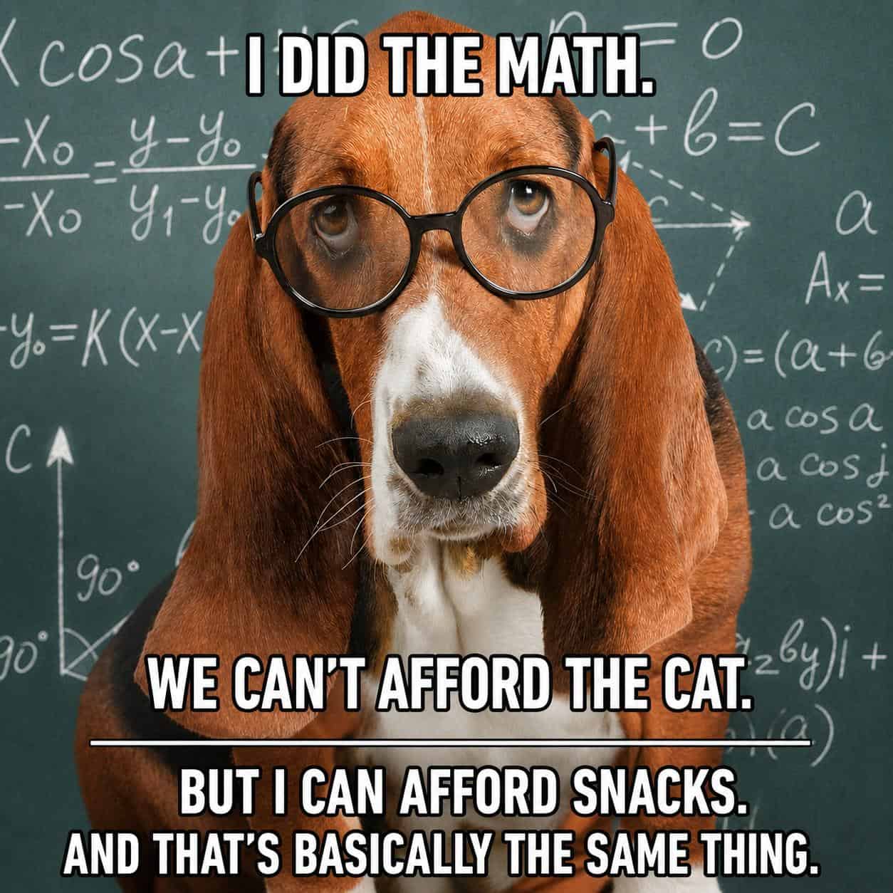 #20 Financial Advisor Graduated From Barkvard University