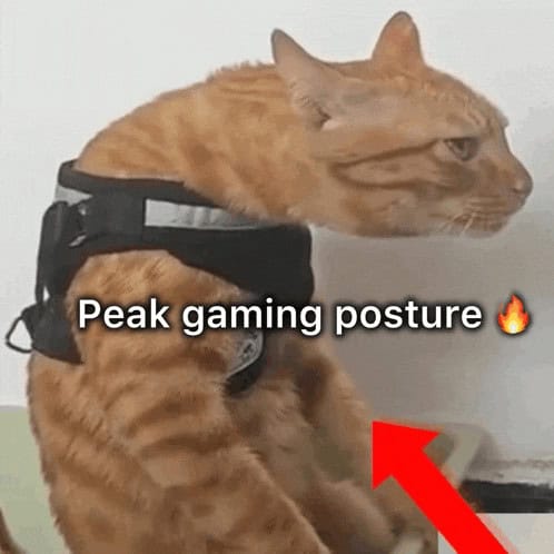 #21 Only Way To See All The Pixels