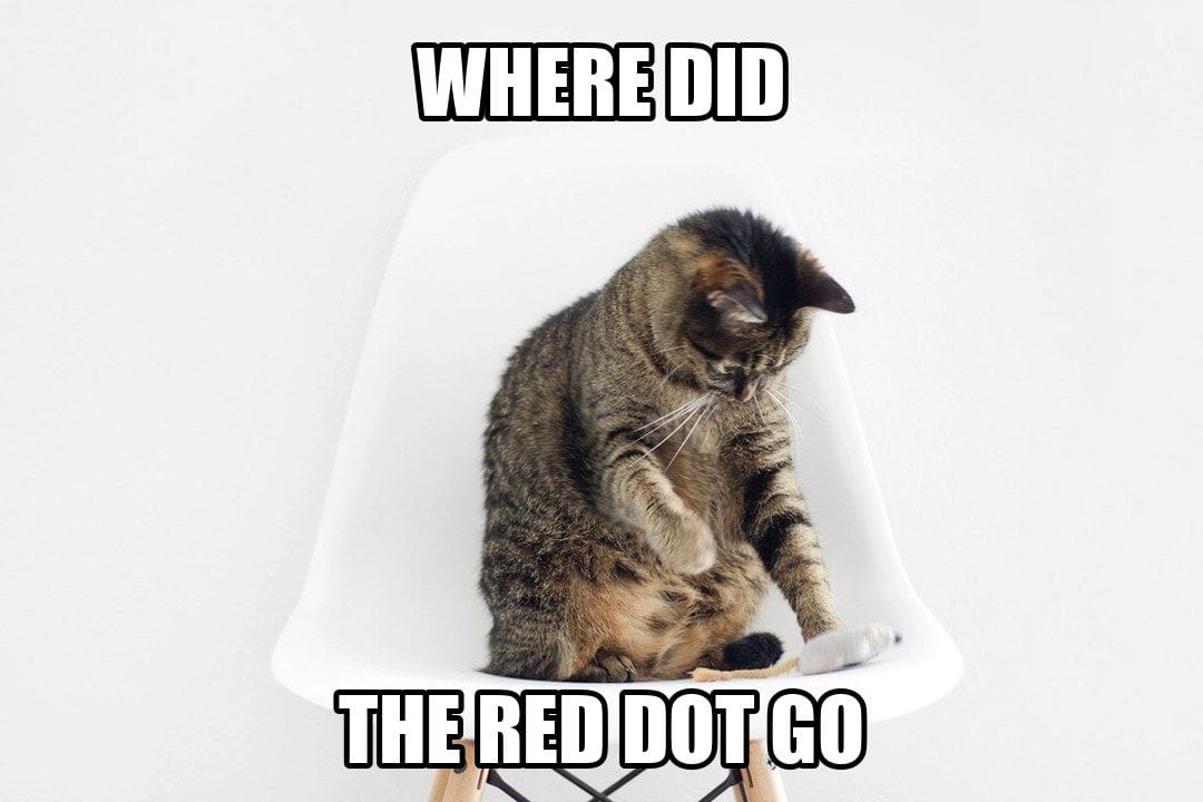 funny animal meme - where did the red dot go