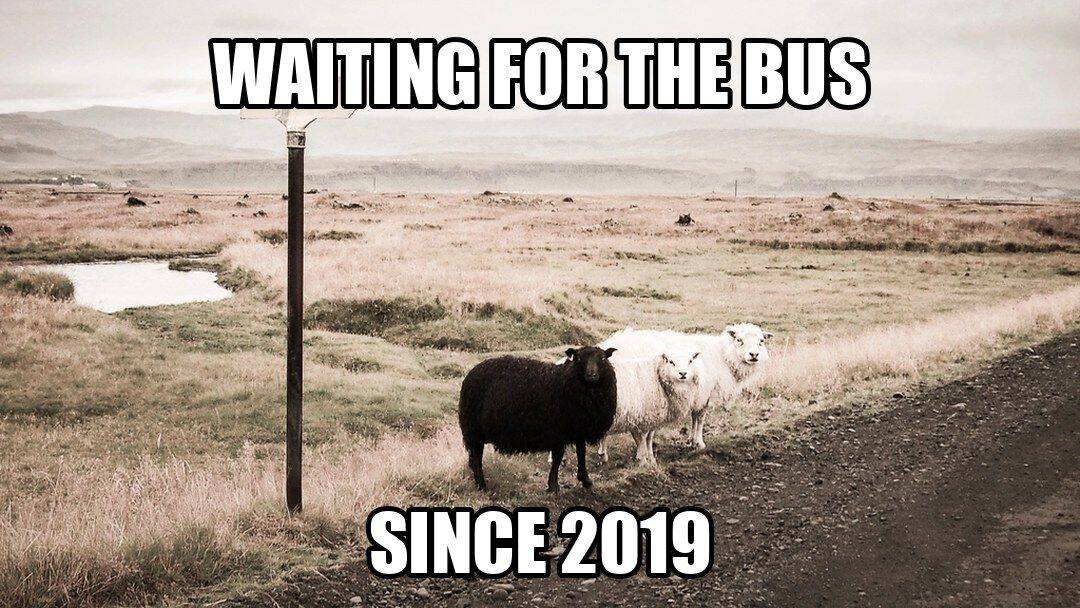 funny animal meme - two sheep standing by road sign