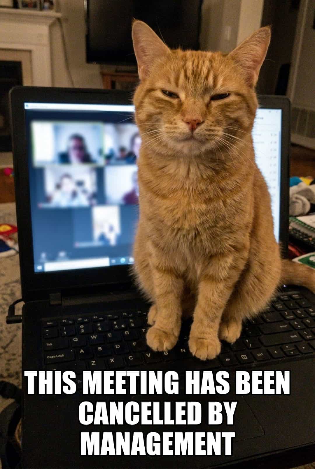 this meeting has been cancelled by management