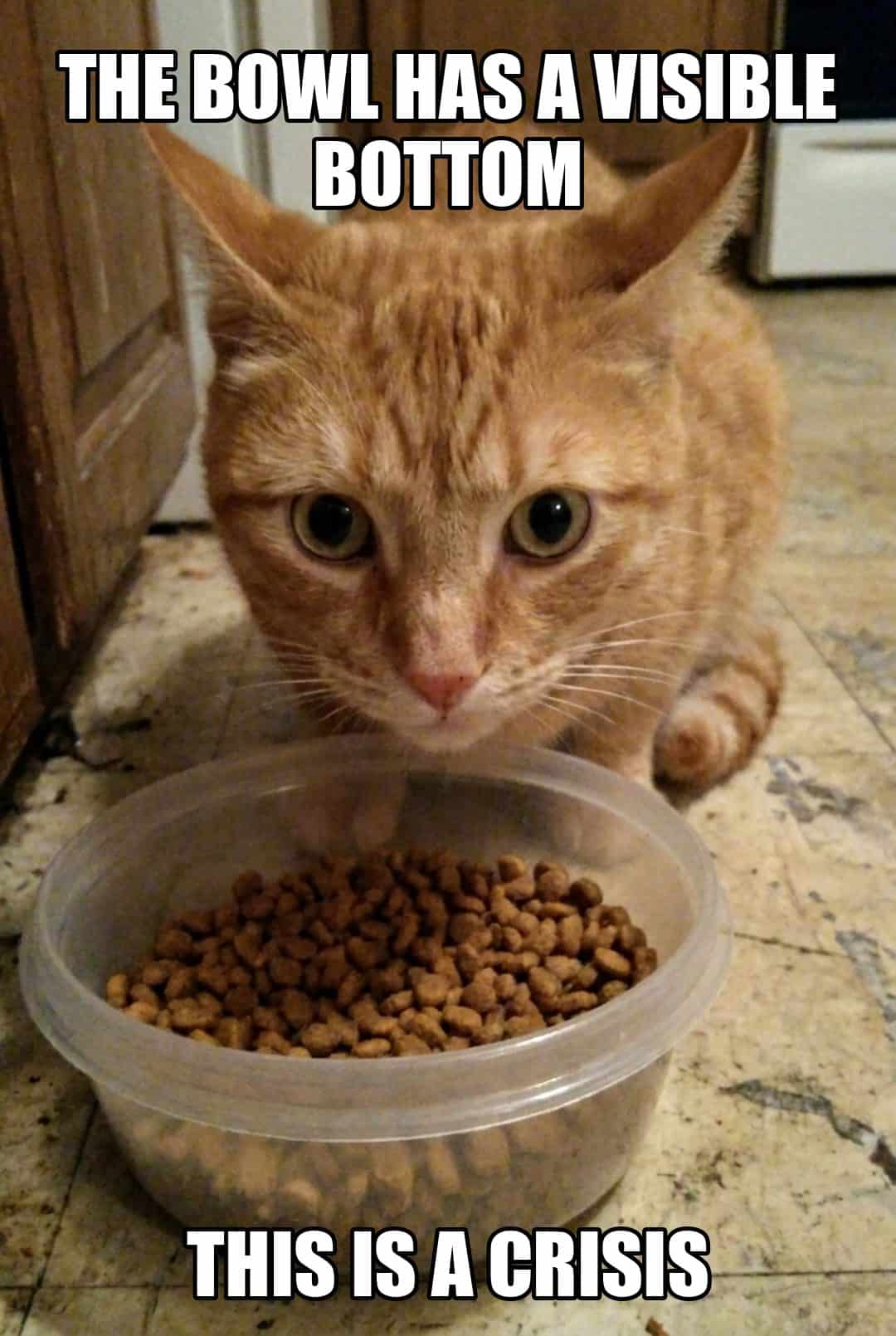 the bowl has a visible bottom this is a crisis