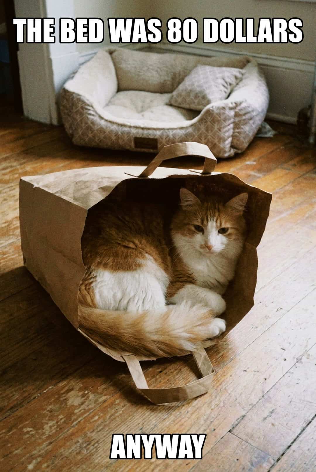 the bed was 80 dollars anyway