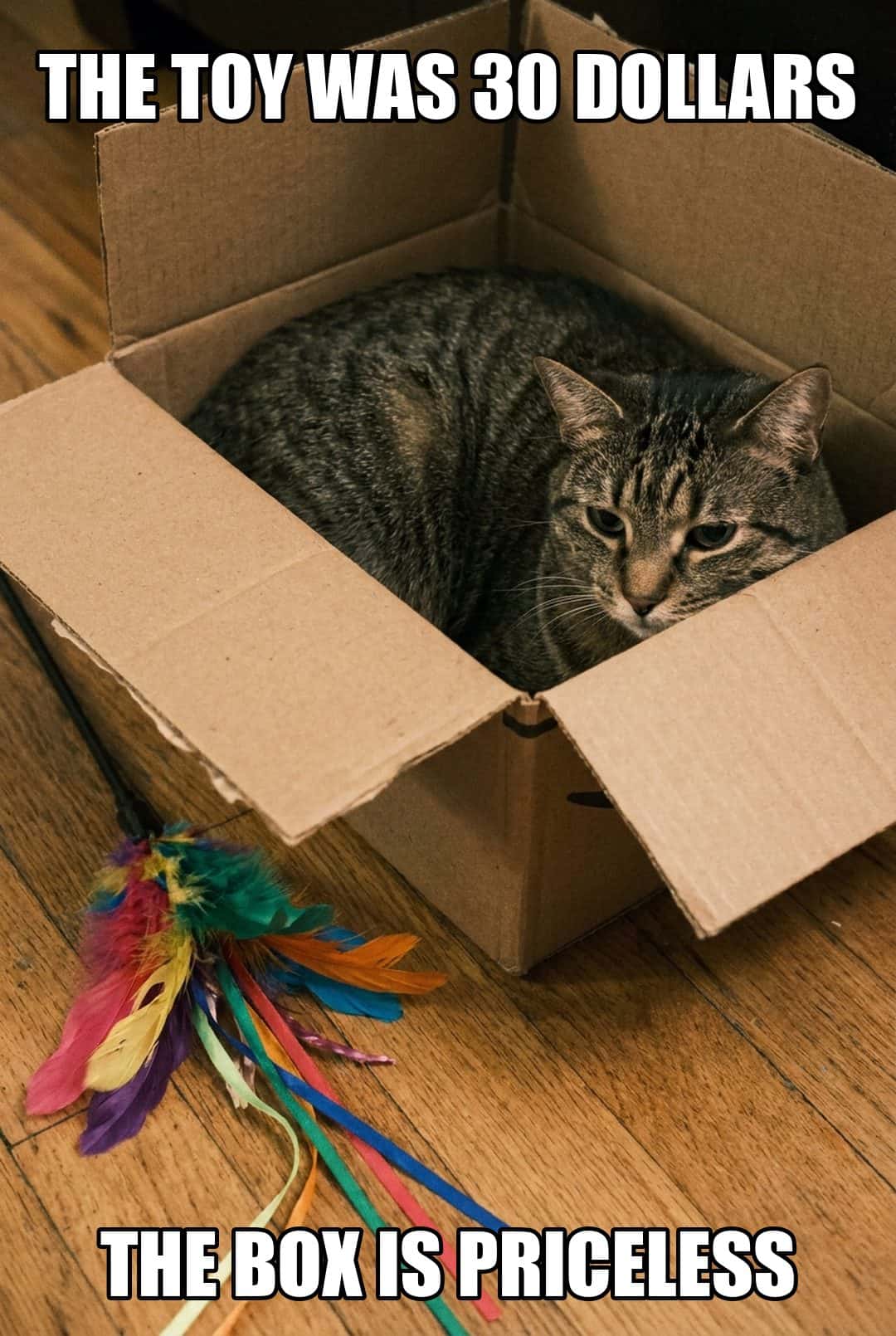 the toy was 30 dollars the box is priceless