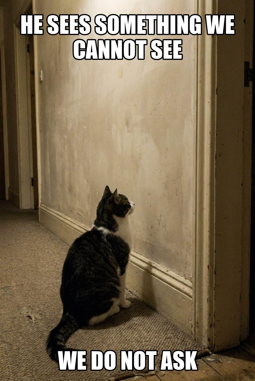 he sees something we cannot see we do not ask