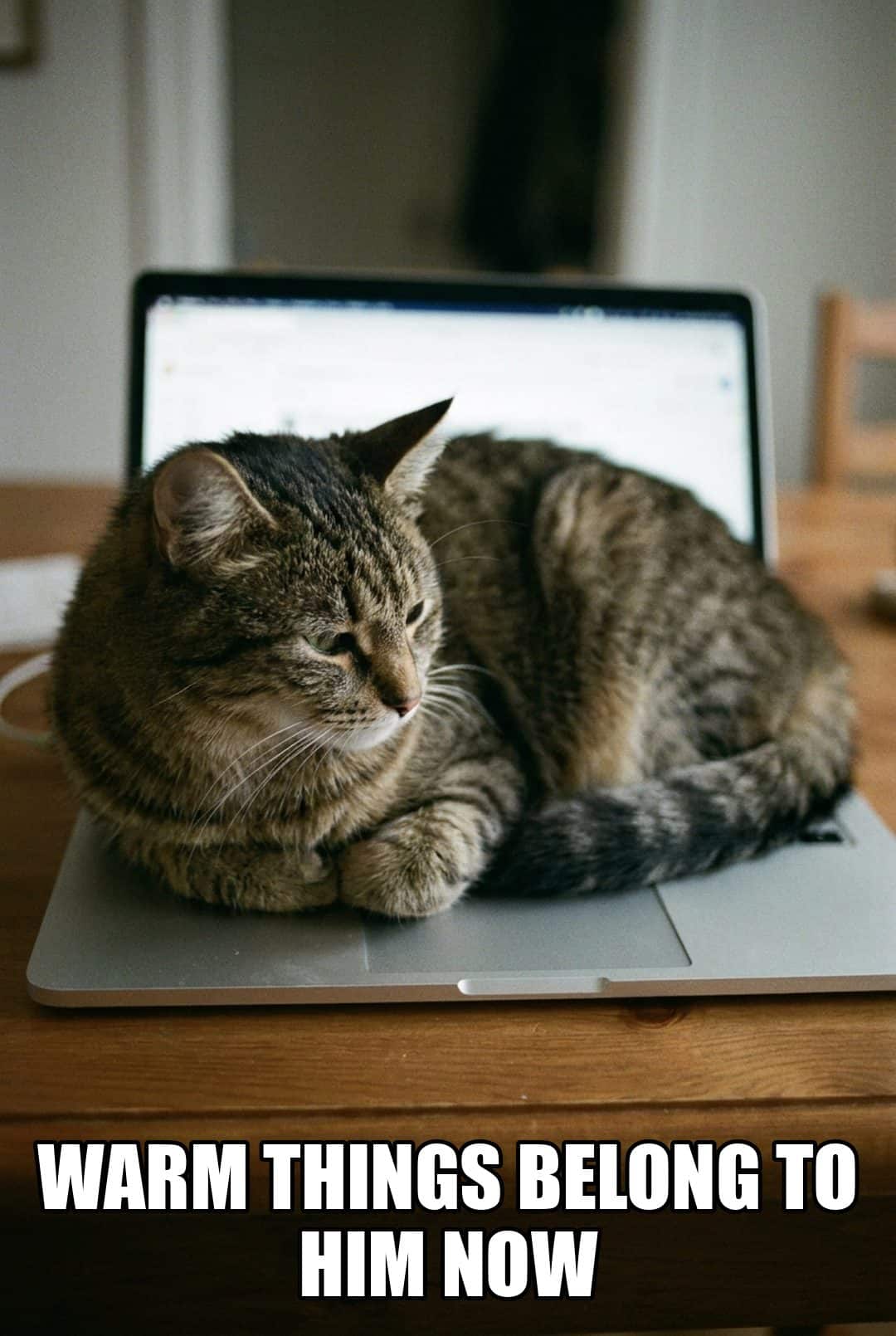warm things belong to him now