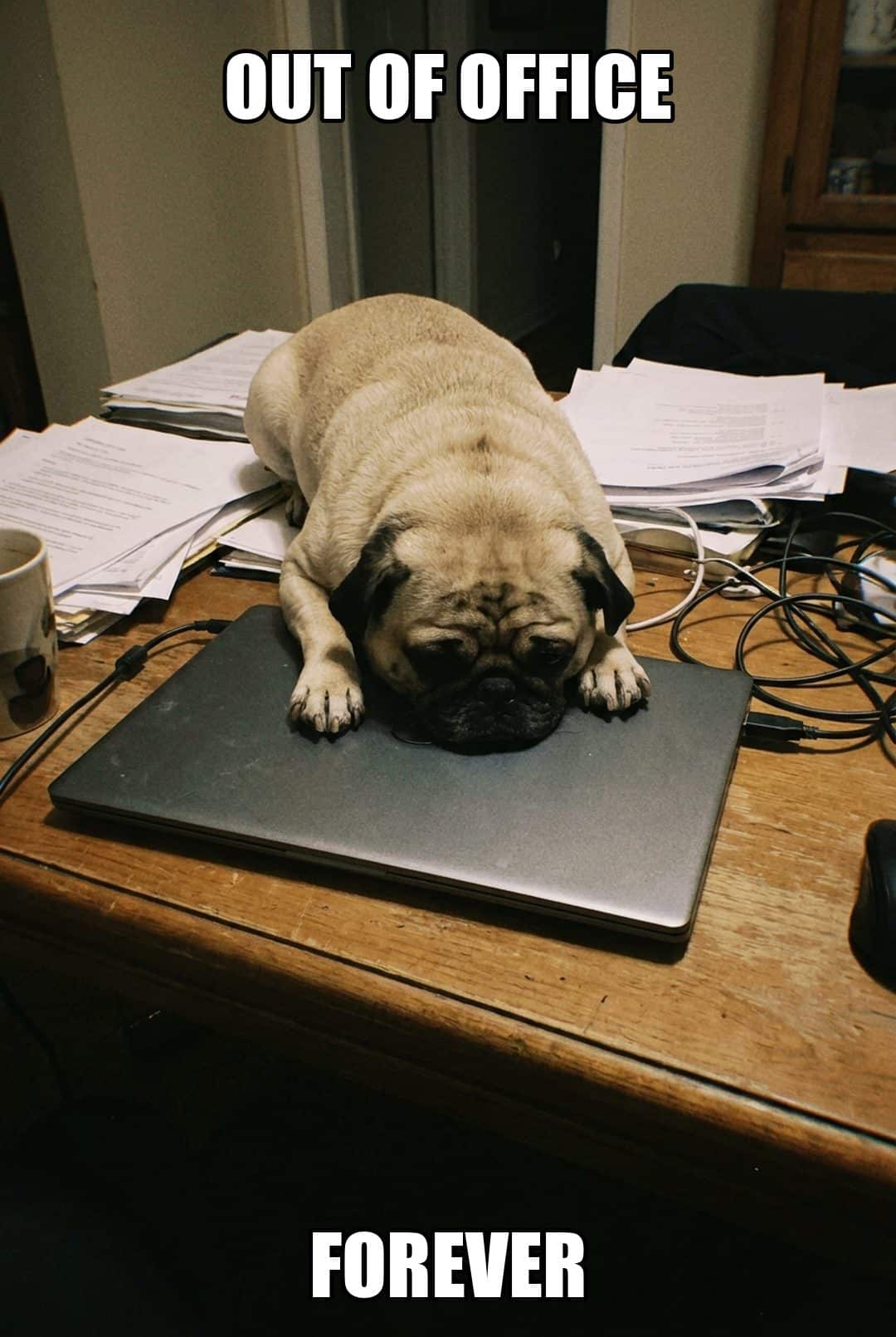 out of office forever