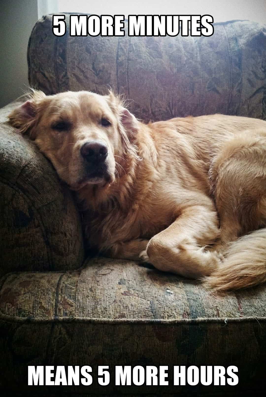 5 more minutes means 5 more hours