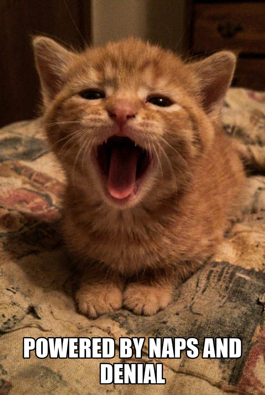 powered by naps and denial