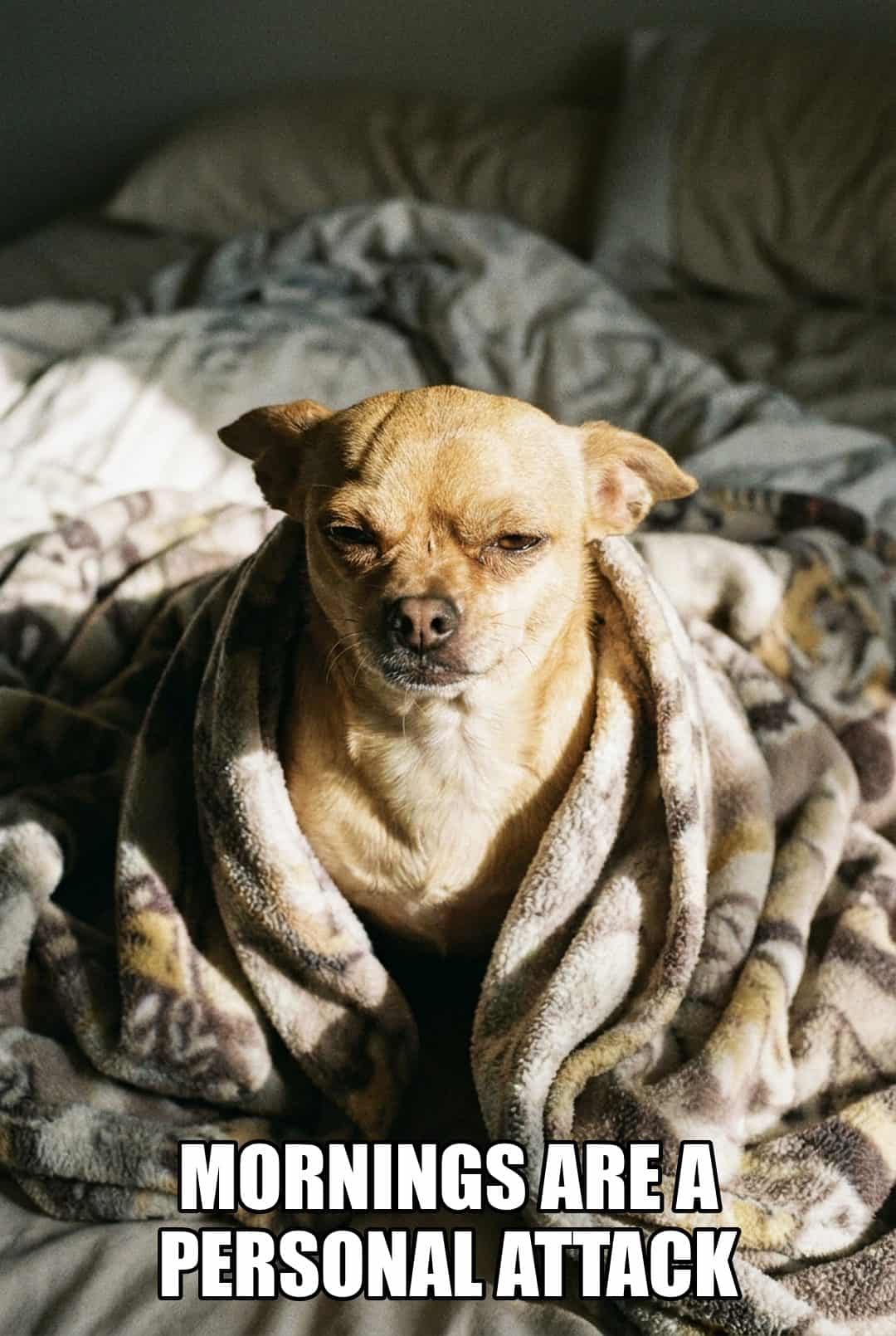 mornings are a personal attack
