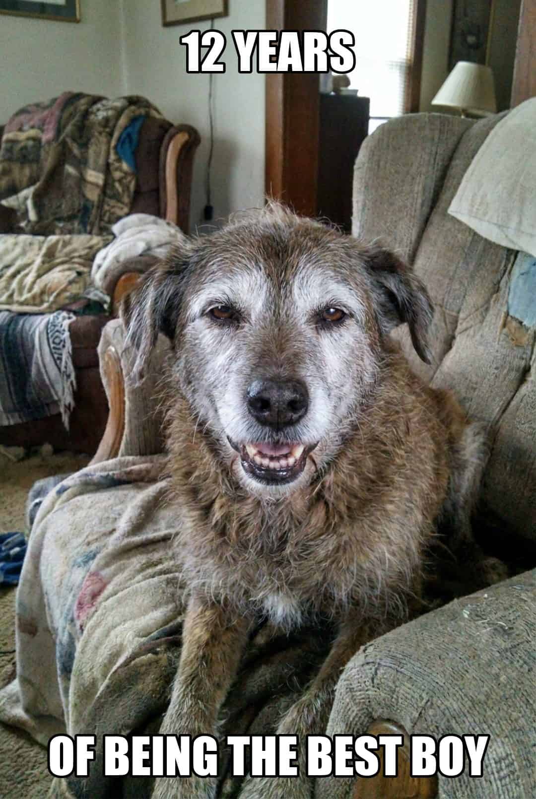 12 years of being the best boy