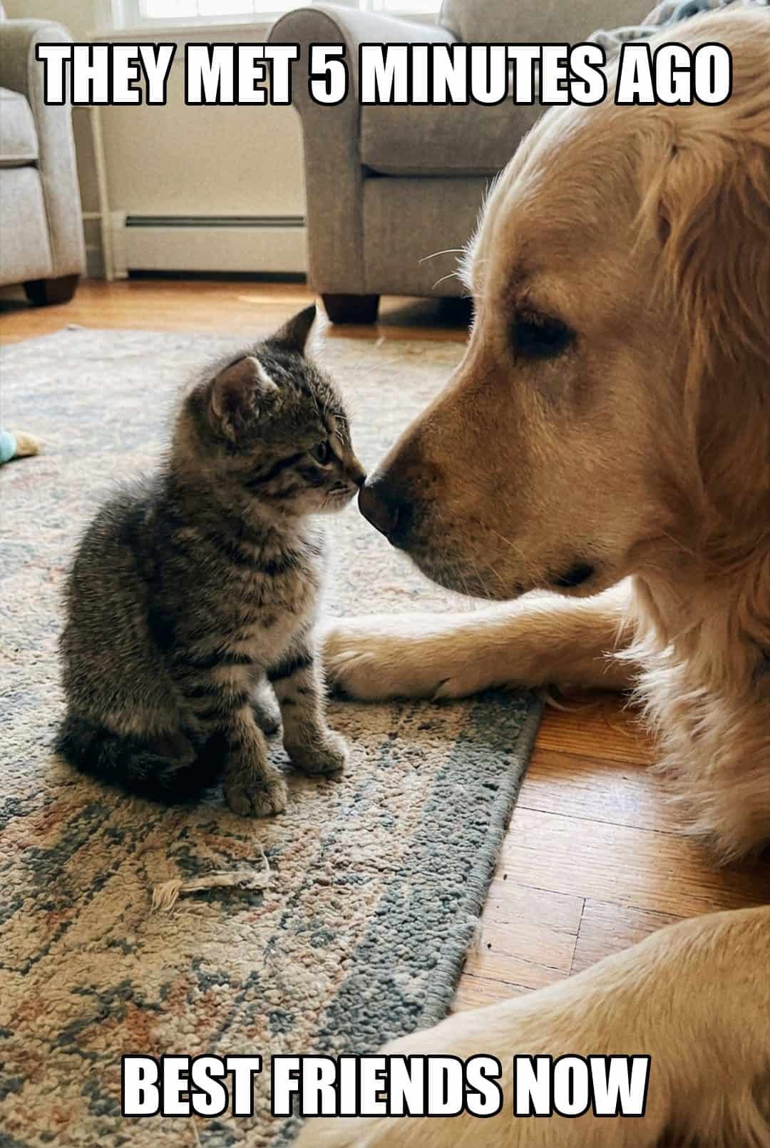 they met 5 minutes ago best friends now