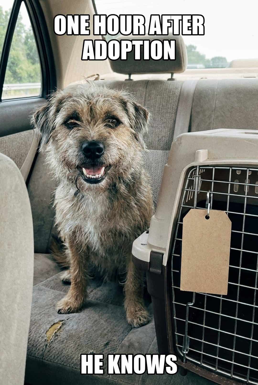 one hour after adoption he knows