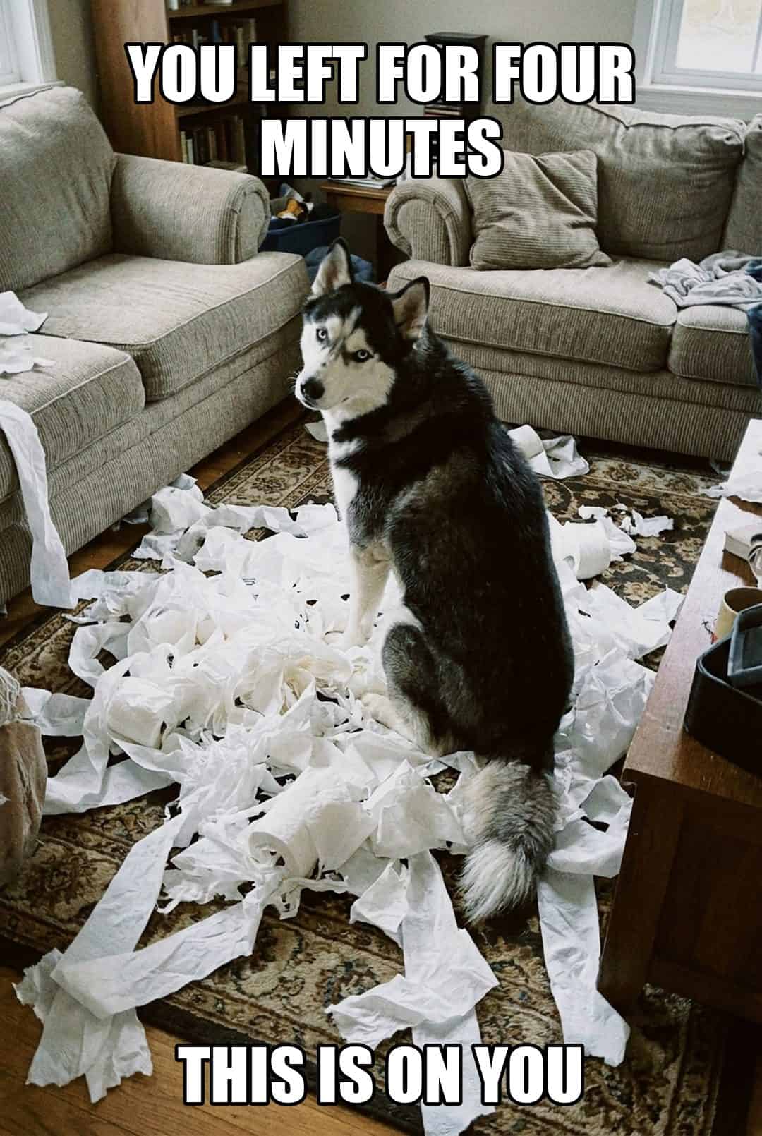you left for four minutes this is on you