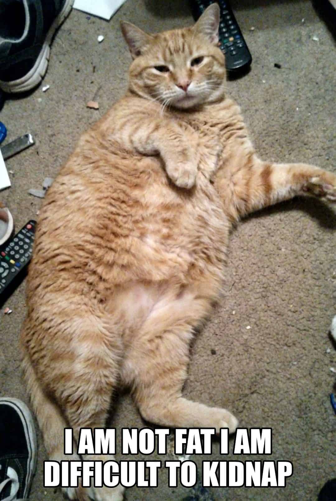 i am not fat i am difficult to kidnap