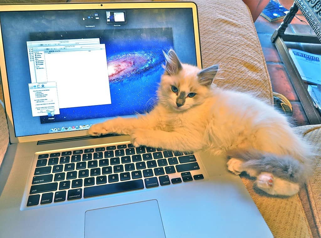 I Am The Update Your Computer Needed