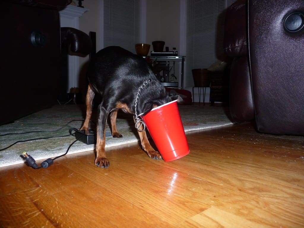 Caught Red Cupped