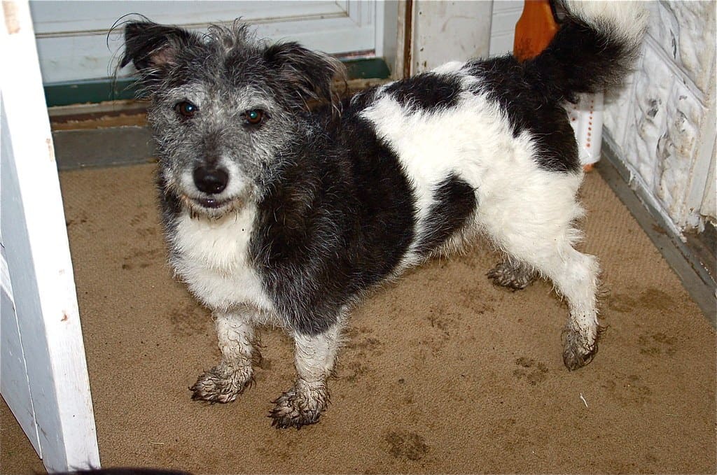 The Mud Came Home With Me, Deal With It