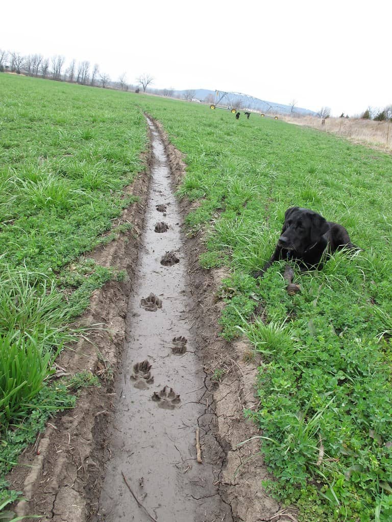 Follow The Evidence Trail...