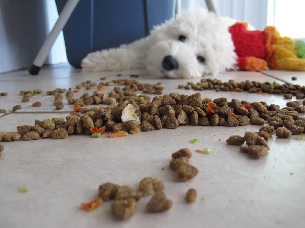 I Have No Idea Who Spilled Dinner Everywhere