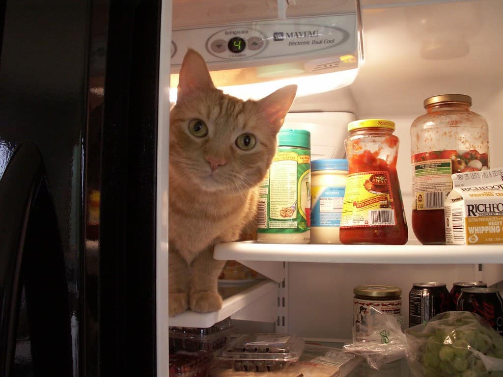 Refrigerate After Opening